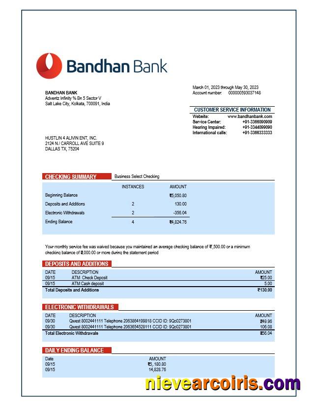Bandhan Bank organization account statement